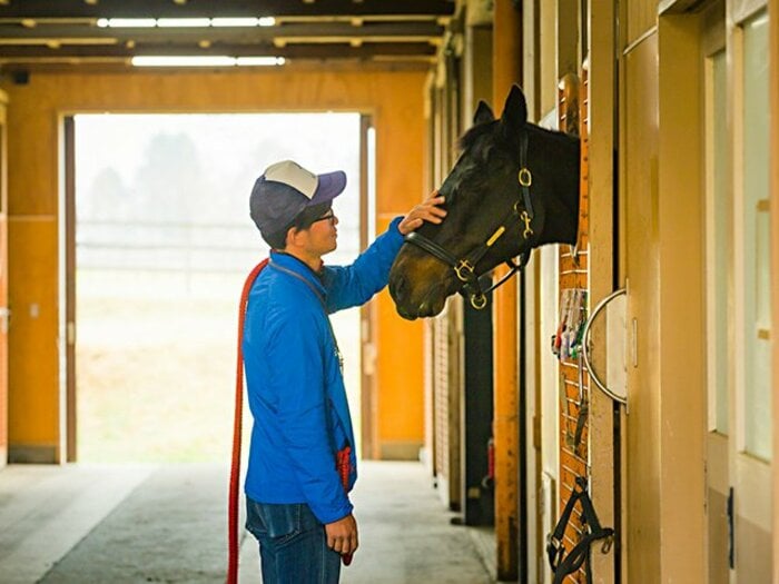 「3強」ビワハヤヒデ、ナリタタイシンは老衰で……。30歳、ウイニングチケットはどうしている？＜Number Web＞ photograph by Kei Taniguchi