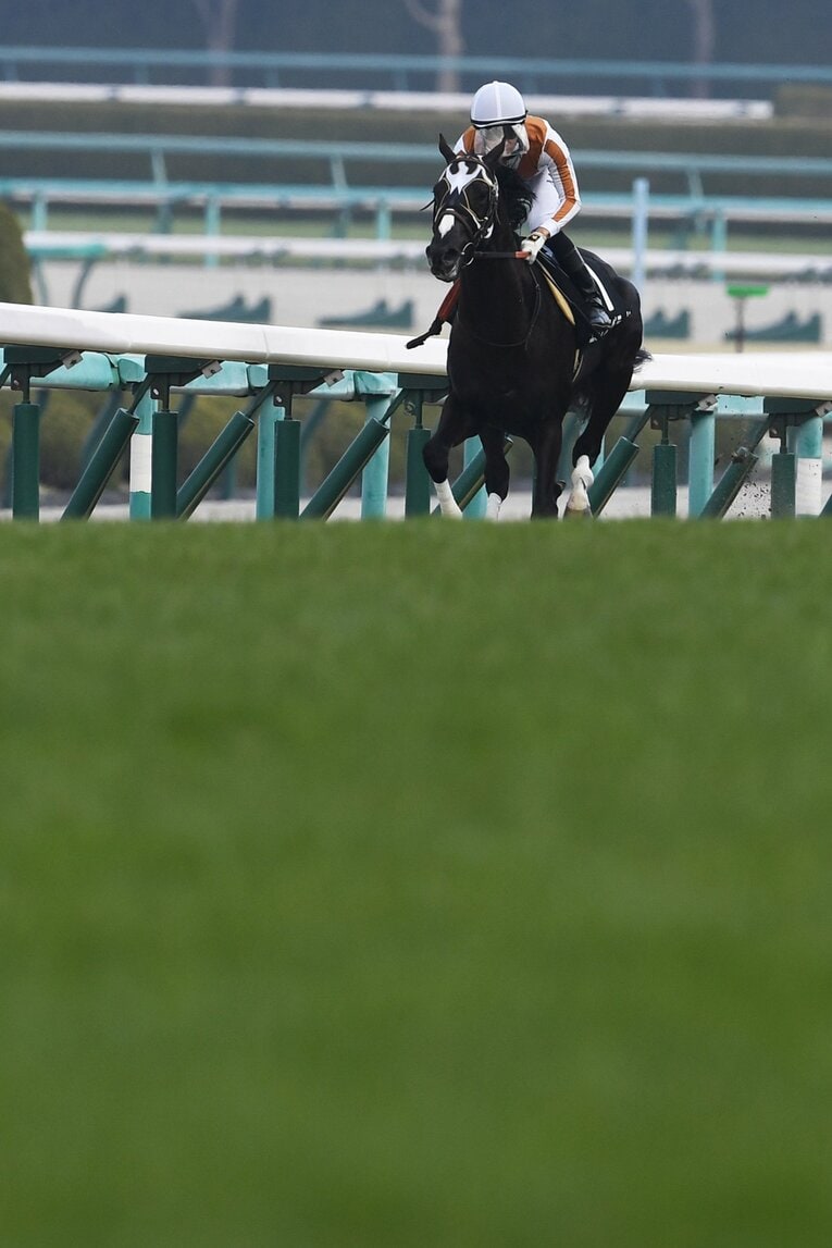 エルデスペラード号は3月12日のゆきやなぎ賞に出走した　©Masashi Hara