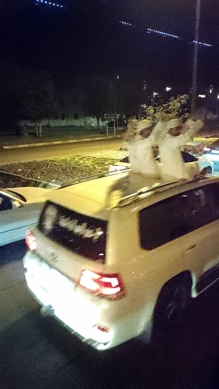 ハコ乗りして煽ってきました（苦笑）。　©Junsei Chida