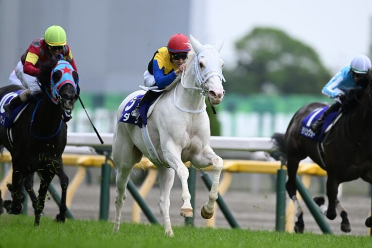 ソダシvsスターズオンアースは競馬史に残るレースとなるか？「ウオッカとダイワスカーレット」以来の“名牝ライバル誕生”を期待してしまう理由(6)