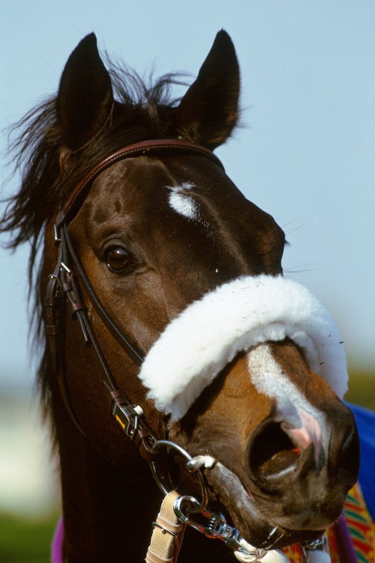 “シャドーロールの怪物”ナリタブライアンはエル・デスペラードが『ウマ娘』以前から知っていた数少ない名馬のうちの一頭だ　©Keiji Ishikawa