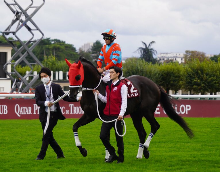 凱旋門賞では惨敗となったディープボンドだが、有馬記念での巻き返しはあるか？　©Satoshi Hiramatsu