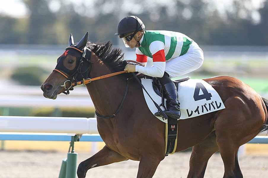 コントレイルvsデアリングの夢対決の陰で…無敗の“超良血牝馬”レイパパレはどこまで強い?<Number Web> photograph by AFLO