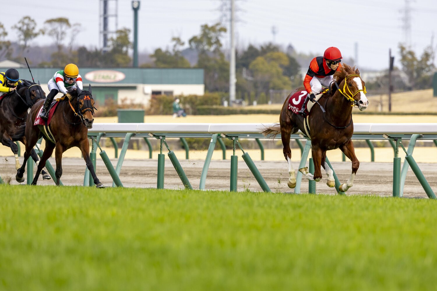 3月の金鯱賞ではレイパパレに2馬身半差をつけて逃げ切ったジャックドール　©Photostud
