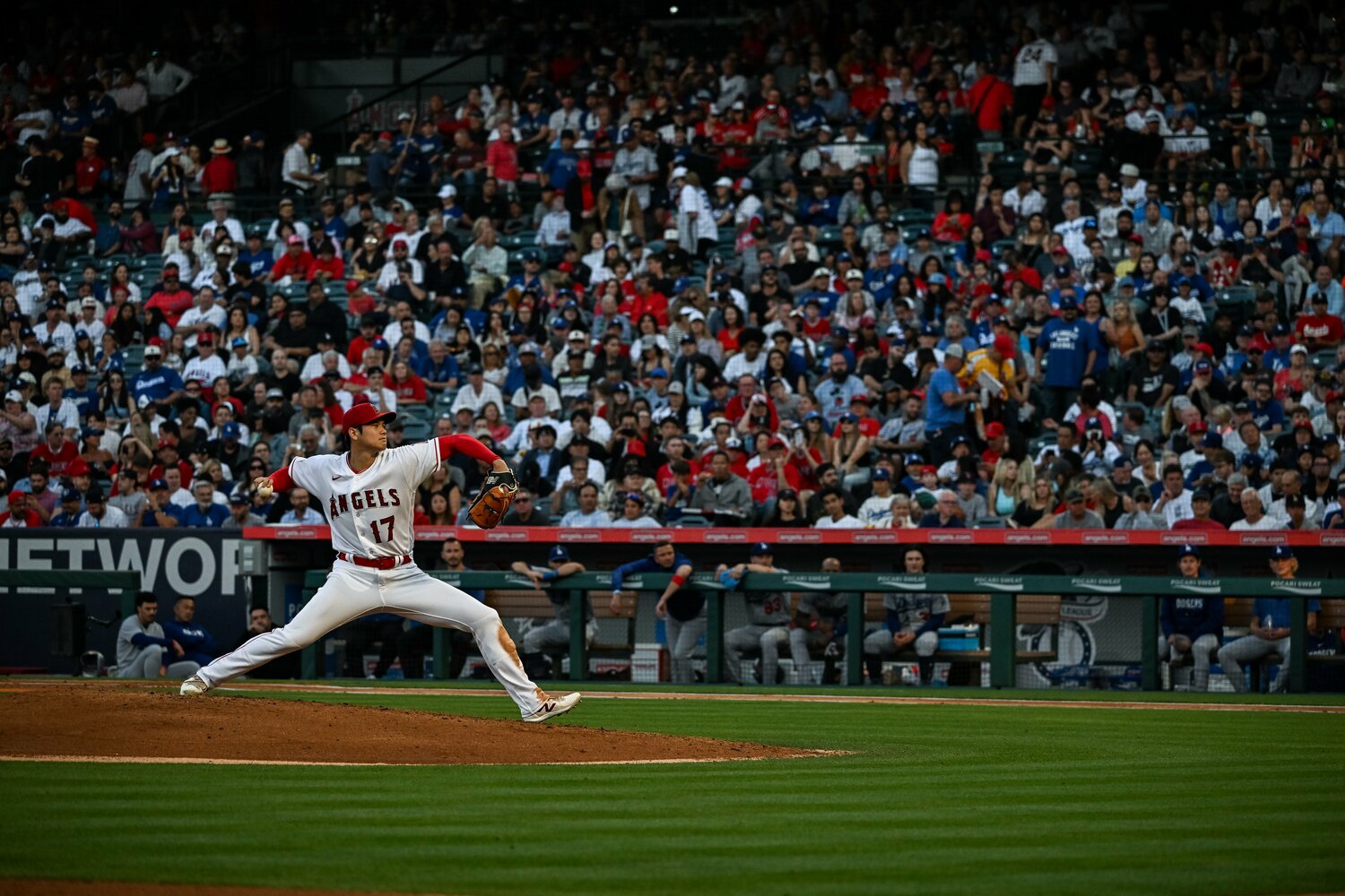 23年6月、ドジャース戦に登板した大谷。スタンドにはエンゼルスファン以外にも“青”が目立った　©Nanae Suzuki