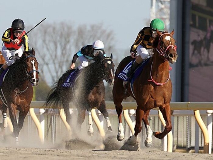 モズアスコットの「二刀流」が完成。ルメールも驚くフェブラリー完勝劇。<Number Web> photograph by Yuji Takahashi