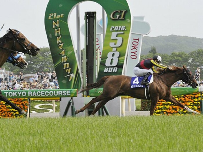 周囲が「遅い」と感じるハイペース。NHKマイルはエンブレムの完全勝利。＜Number Web＞ photograph by Kyodo News