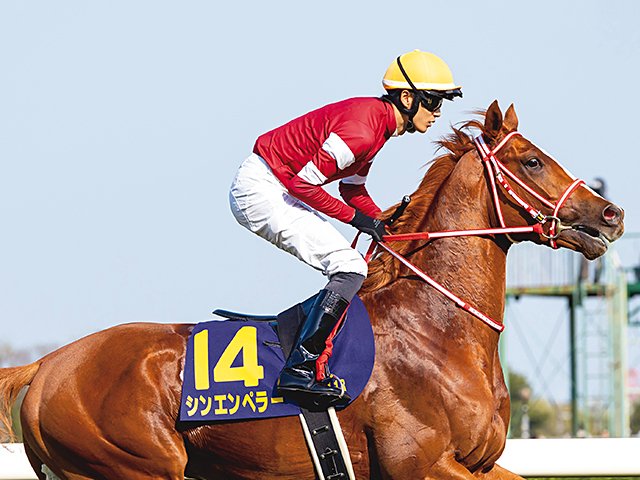 記者の推奨馬・栗東］西の反撃「雪辱を誓う大器たちの行軍」シン