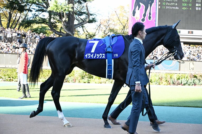 10月29日の天皇賞・秋。イクイノックスのパドック　©Keiji Ishikawa