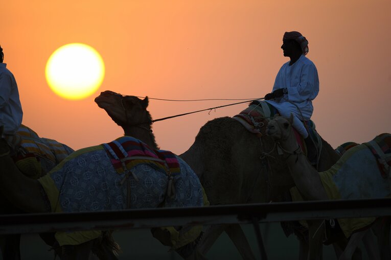 ラクダレース　©Bungeishunju