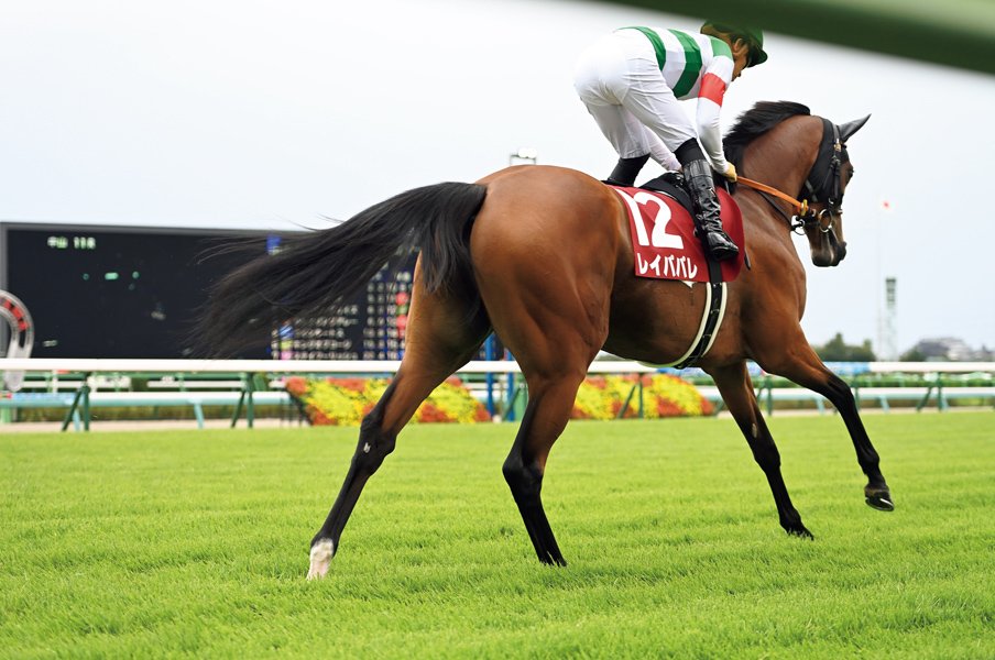 《エリザベス女王杯でGI2勝目なるか》三冠馬を圧倒した快速馬レイパパレ、馬産地の情熱がつないだ「100年の血脈」を辿る<Number Web> photograph by Keiji Ishikawa