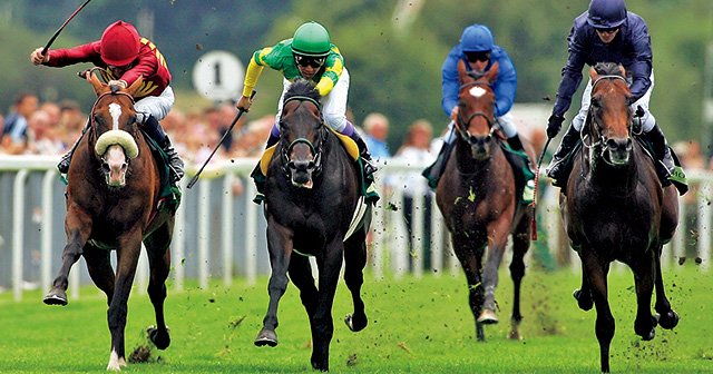 動物愛護団体vs.ジョッキー。ムチの回数制限の影響とは。～大レース