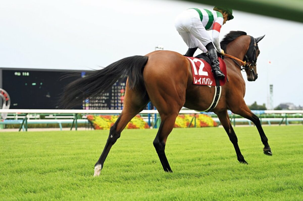 エリザベス女王杯でgi2勝目なるか 三冠馬を圧倒した快速馬レイパパレ 馬産地の情熱がつないだ 100年の血脈 を辿る 競馬 Number Web ナンバー