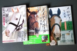 【話題】あのメイケイエールが“オリコン3位”にランクイン！ なぜ競走馬の写真集がブームに？「馬への愛情の向け方が変わってきている」