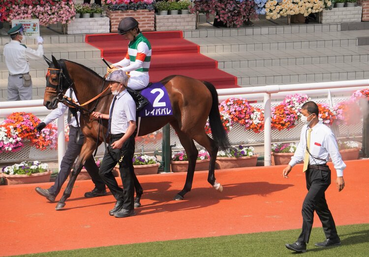 クロノジェネシスは「正直、宝塚記念にも間に合わないと思いました