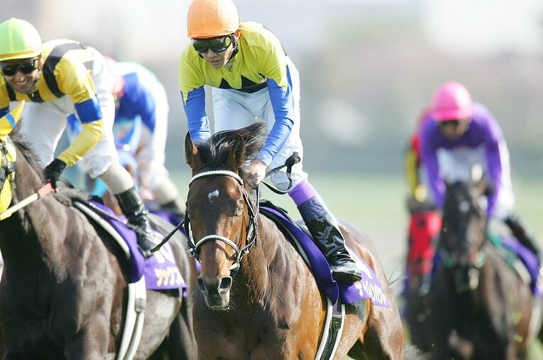 武豊も愛したディープインパクト。人間なら50代、飛ぶように逝く。(2) ／ photograph by Tamon Matsuzono