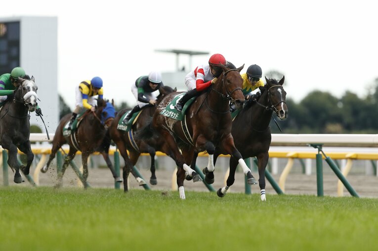 東スポ杯2歳Sではタイトルホルダーにも勝っているダノンザキッド　©Photostud