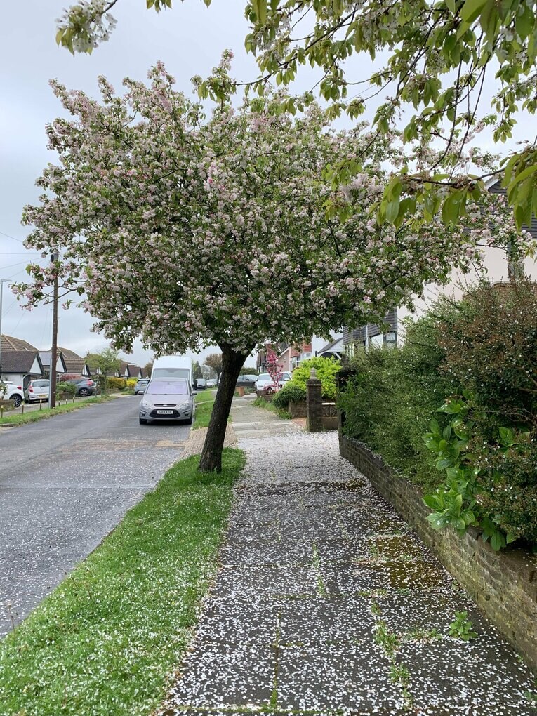 オシャレなブライトンの町並み　©Yoichi Igawa　