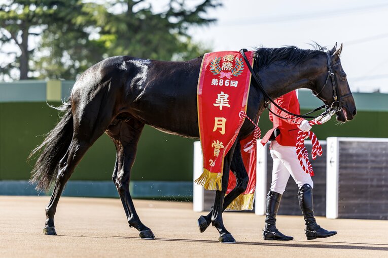 クールダウンするロブチェン　©Kiichi Matsumoto