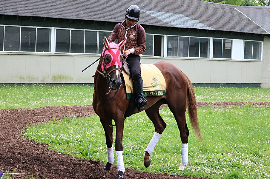 日本で6戦2勝 米3冠レース有力馬 マスターフェンサーの状態が急上昇 競馬 Number Web ナンバー