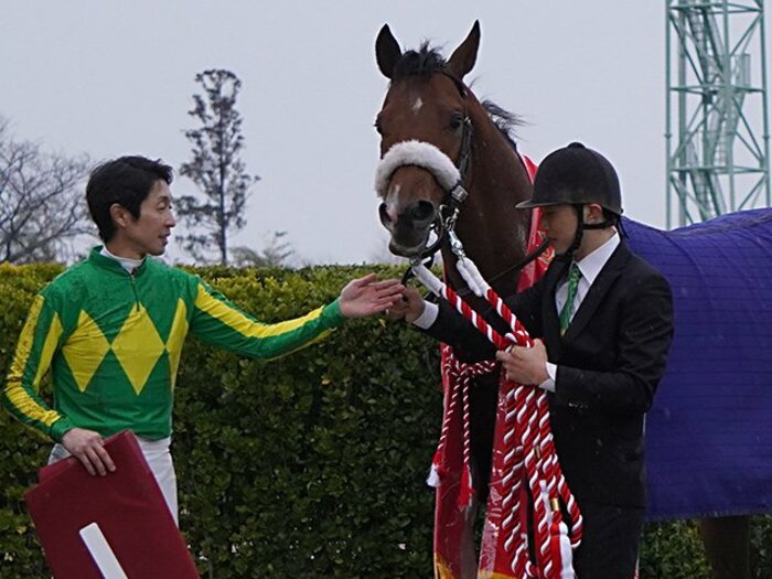 ディープの仔が“ディープ記念”制覇。武豊も認める父似のサトノフラッグ。<Number Web> photograph by Satoshi Hiramatsu