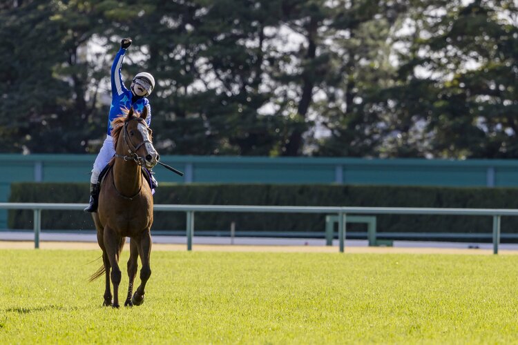 3連単278万円超の大波乱に…8番人気ナランフレグはなぜGI高松宮記念で突き抜けたのか？ 勝負を分けた“インコースの選択”（2／3） - 競馬 -  Number Web - ナンバー