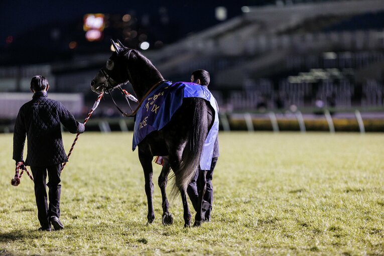 《有馬記念》エフフォーリアと横山武史は“とにかく強かった”…苦境の若武者を救った一言「武史が一番上手いから、信じて乗ってこい」(34)