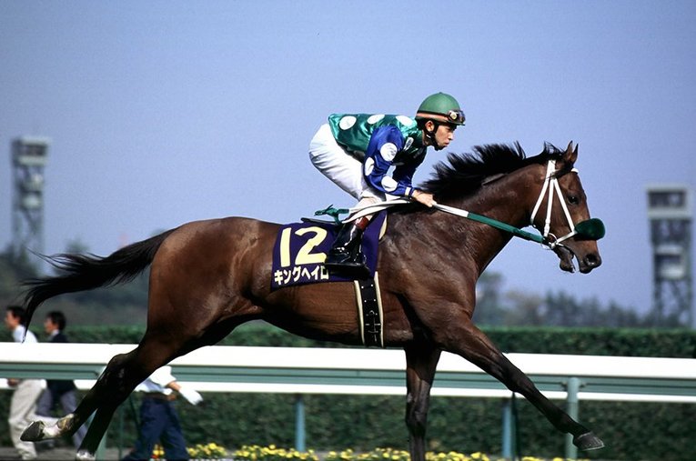 キングヘイローと福永祐一 ／ photograph by Keiji Ishikawa