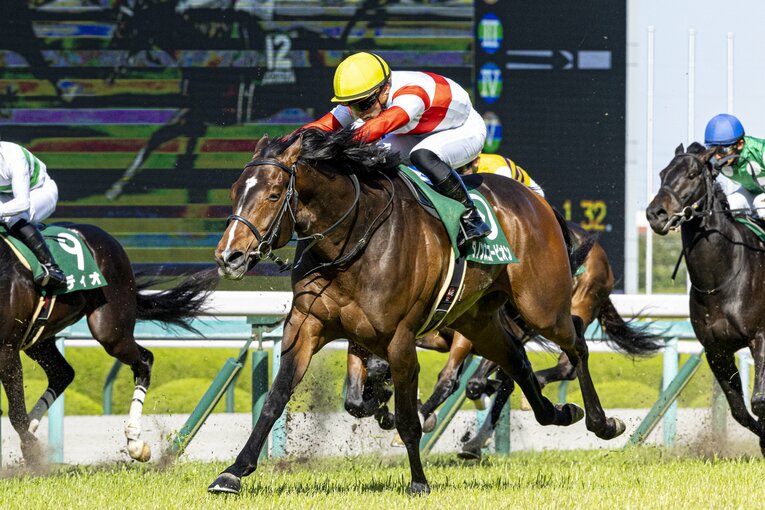 前走アーリントンC（GIII）を制したダノンスコーピオン　©KYODO