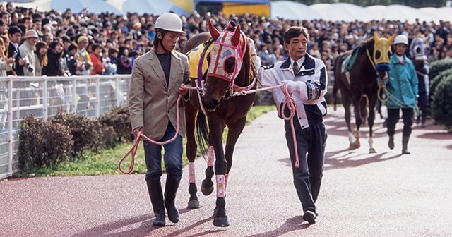 負け馬ばかり宣伝する』とバカにされていた」1日8億売上げ…高知競馬を