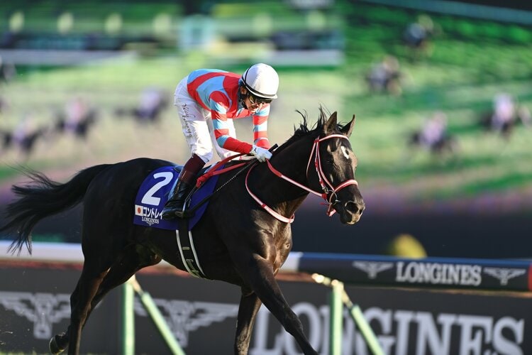 競馬 コントレイル 福永祐一 直筆サイン A4写真 ② 武豊