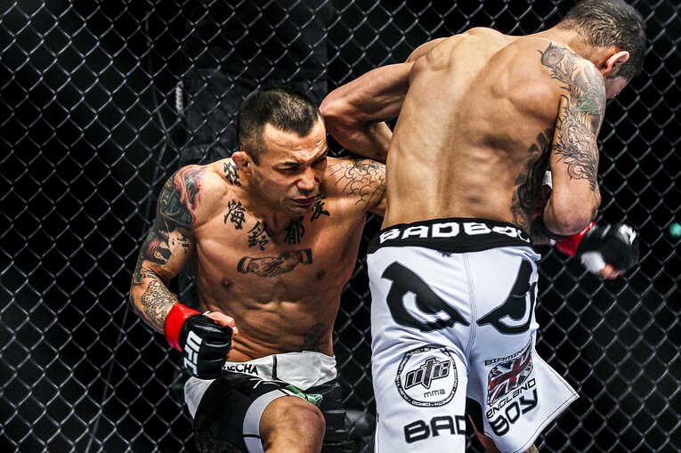 ヴァウアン・リー戦（UFC 144: Edgar vs. Henderson　2012年2月26日）