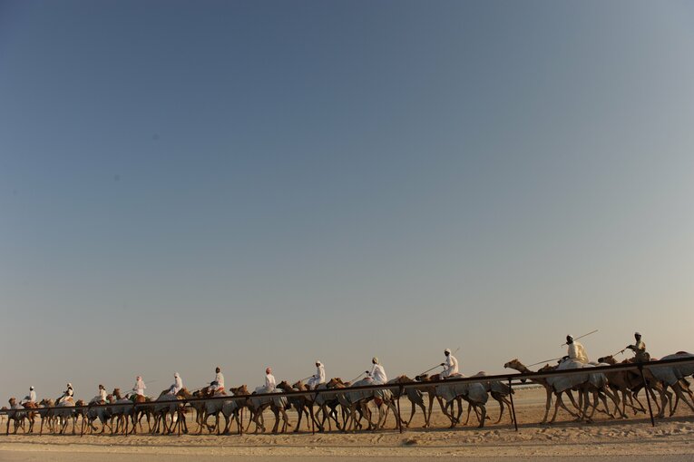 ラクダレース　©Bungeishunju