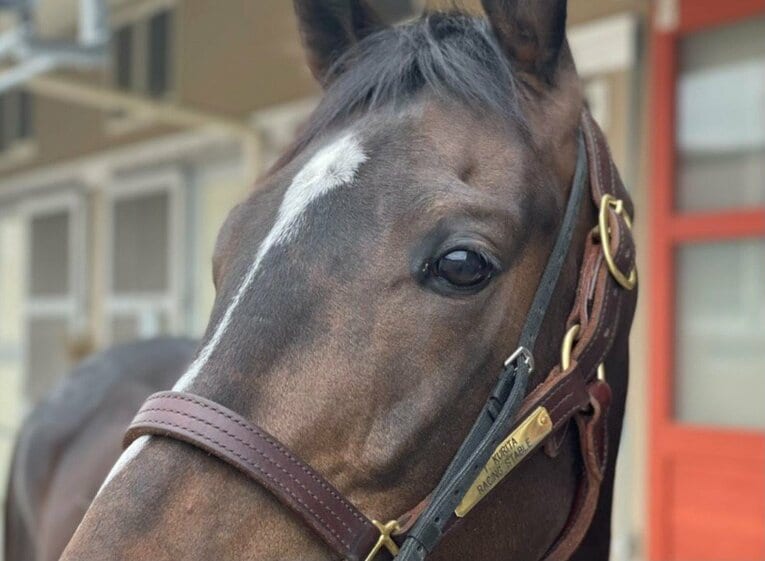 タイトルホルダー　©Satoshi Hiramatsu