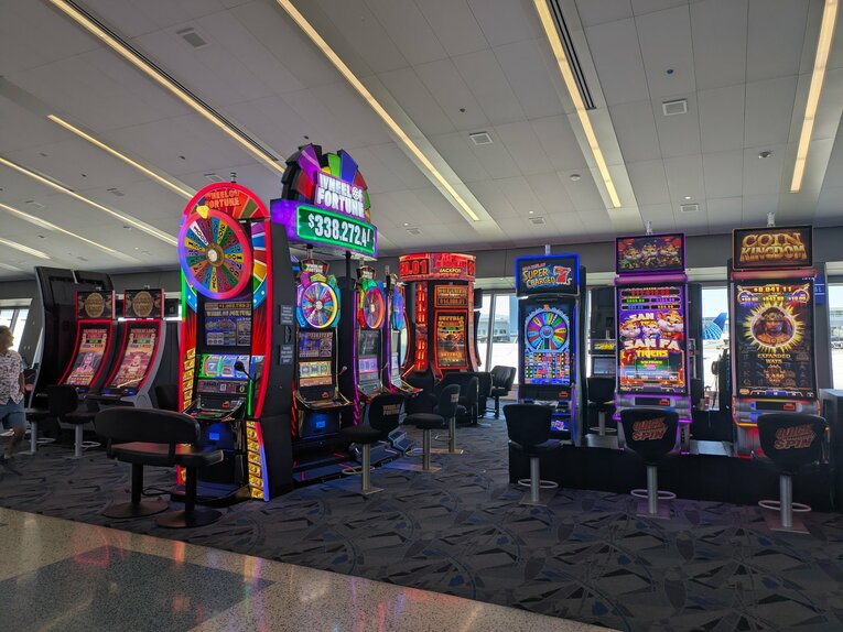 写真で見る「漫画家夫婦のアメリカ珍道中」（30枚超）©Junsei Chida