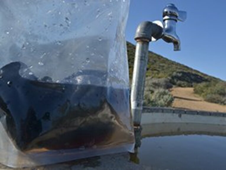 洗濯をする。これも大切な日課。