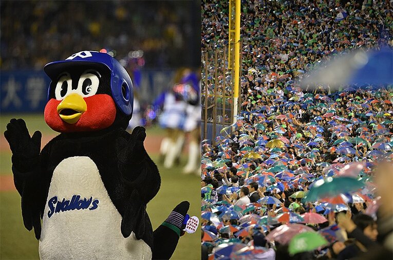 「東京音頭」はヤクルトの応援歌として親しまれ、球場を盛り上げてきた。この歌が辿ってきた歴史は長い ／ photograph by Hideki Sugiyama