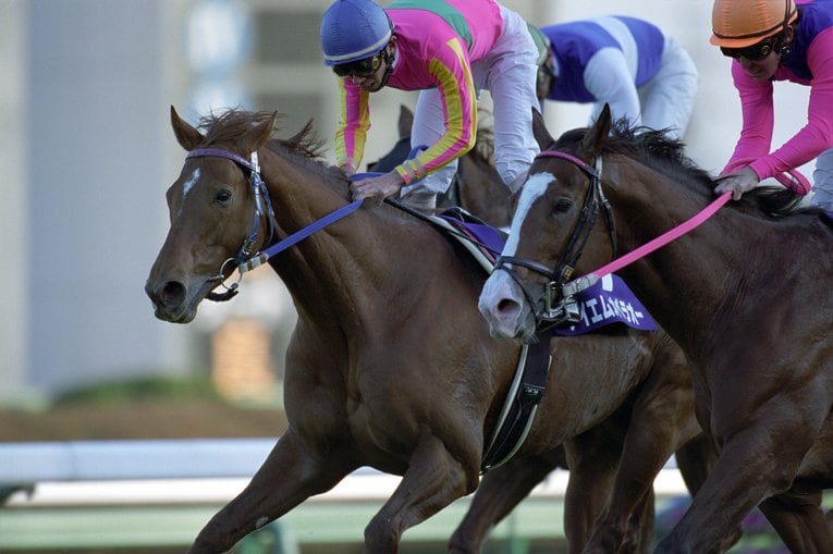 テイエムオペラオーとメイショウドトウ　©BUNGEISHUNJU