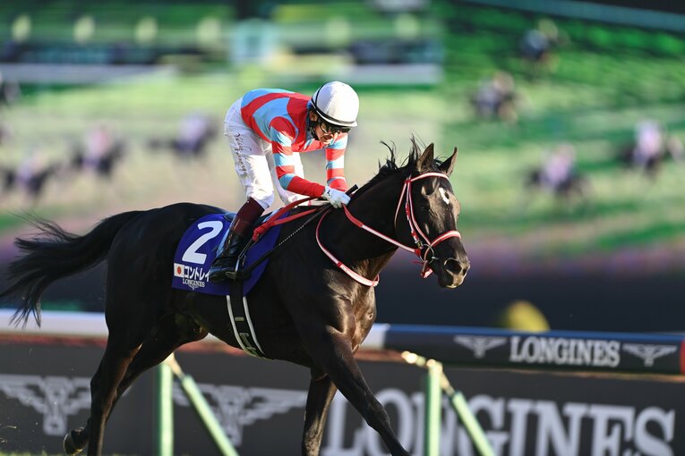 コントレイルのラストラン　©Keiji Ishikawa