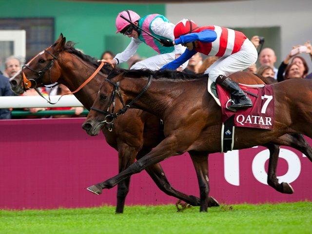 第90回中山記念　パンサラッサ 第90回中山記念 パンサラッサ 【風のたより】中山記念勝ち馬パンサラッサ