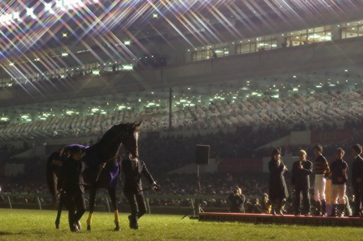 現地的中】単複応援馬券 2017年 有馬記念 キタサンブラック引退