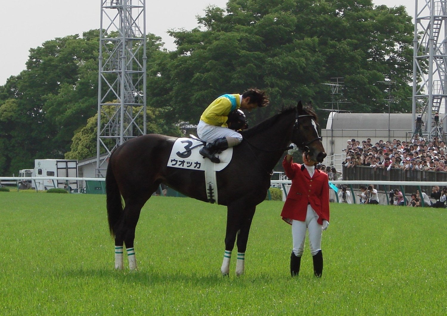 日本ダービーを勝ったウオッカ