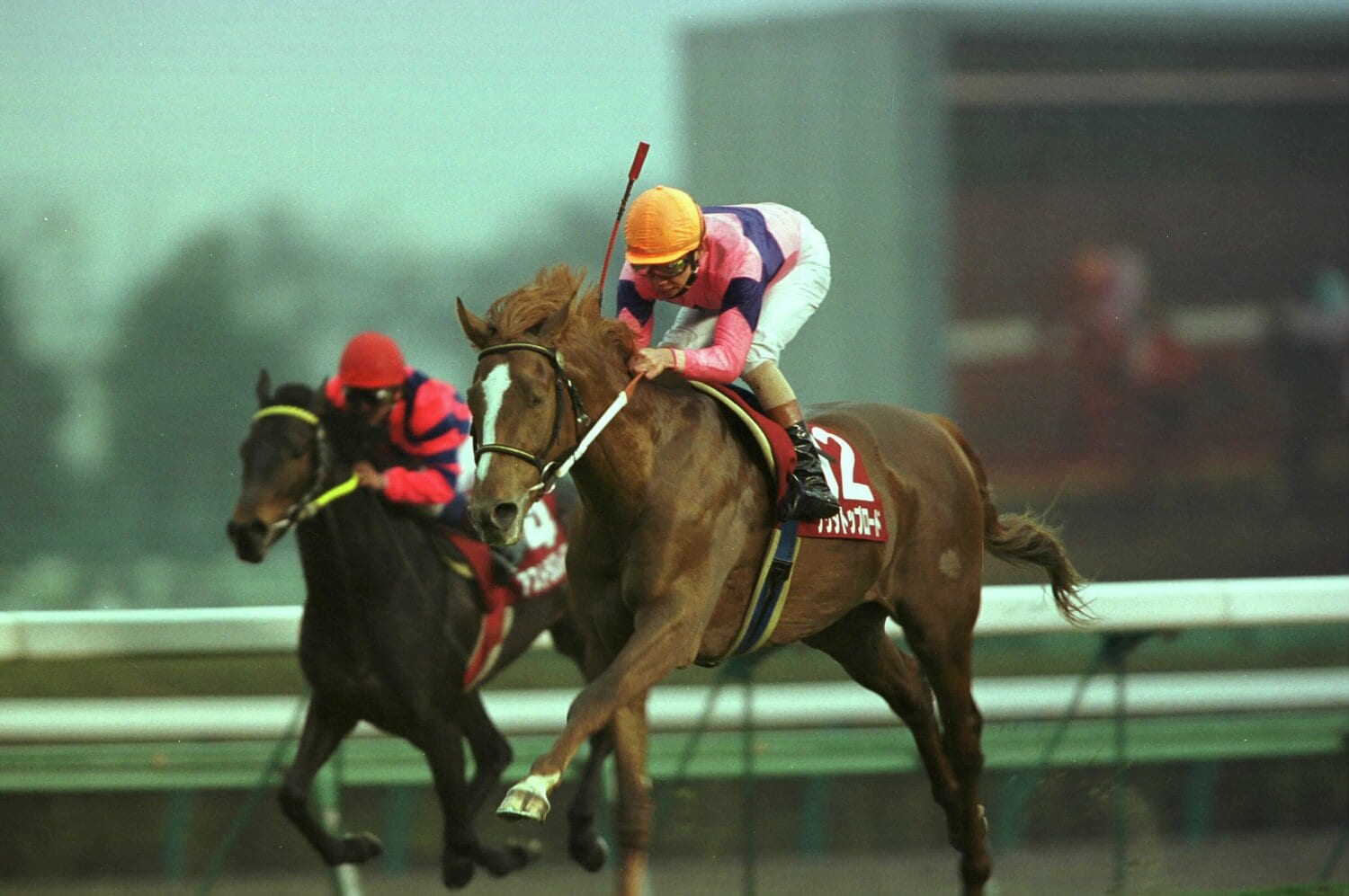 実際のレース写真（弥生賞を制したナリタトップロード）　©Tomohiko Hayashi