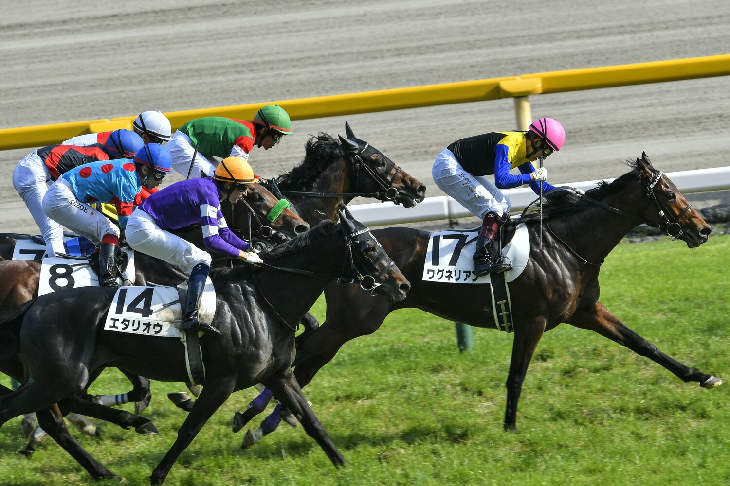 2018年、ワグネリアンで日本ダービーを制し渾身のガッツポーズ ©Takuya Sugiyama