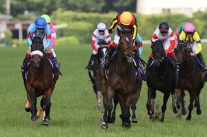 【必見】アーモンドアイはなぜ負けたのか。 グランアレグリアが安田記念制覇。