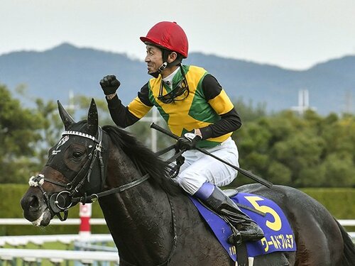 img_2e2d3e3a806a5d1cf42ac029ed