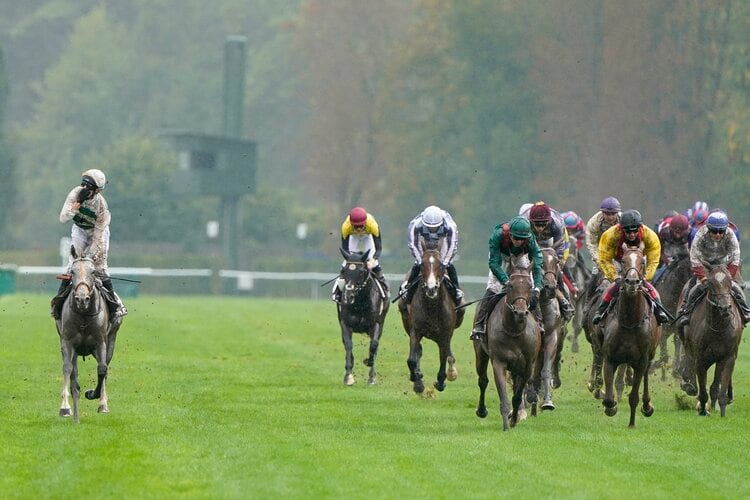 オルフェーヴルまさかの斜行”がもう10年前…海外競馬評論家・合田直弘に