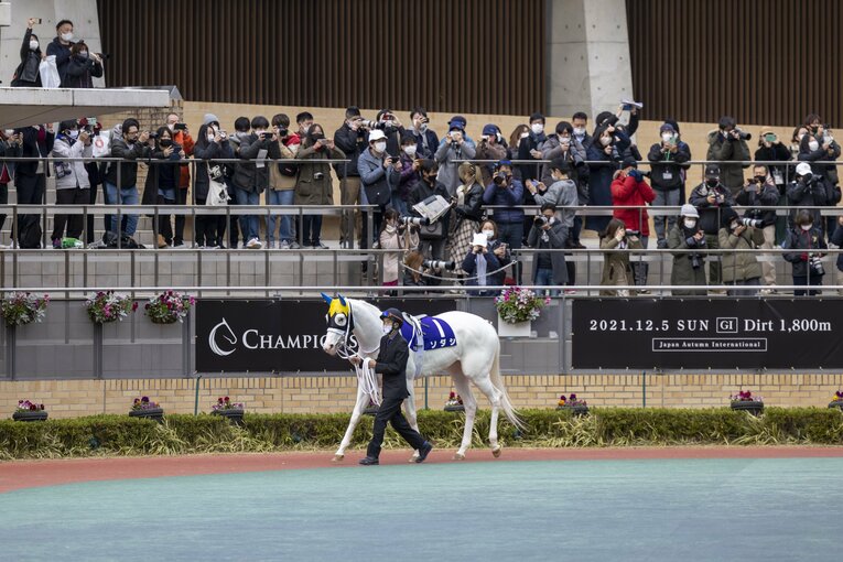 チャンピオンズCでは12着に敗れたソダシ　©Photostud