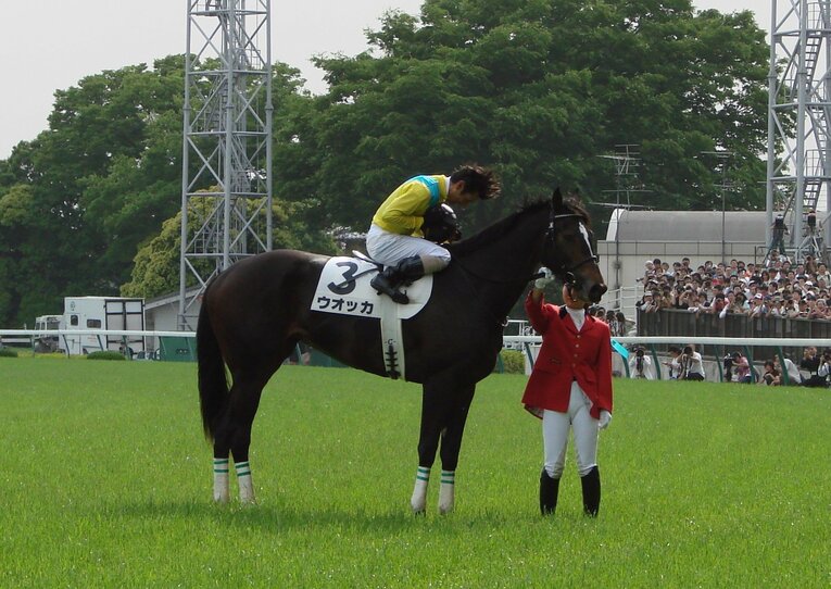 日本ダービーを勝ったウオッカ