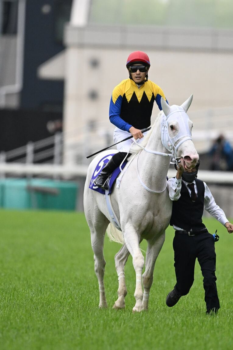 ソダシvsスターズオンアースは競馬史に残るレースとなるか？「ウオッカとダイワスカーレット」以来の“名牝ライバル誕生”を期待してしまう理由(45)